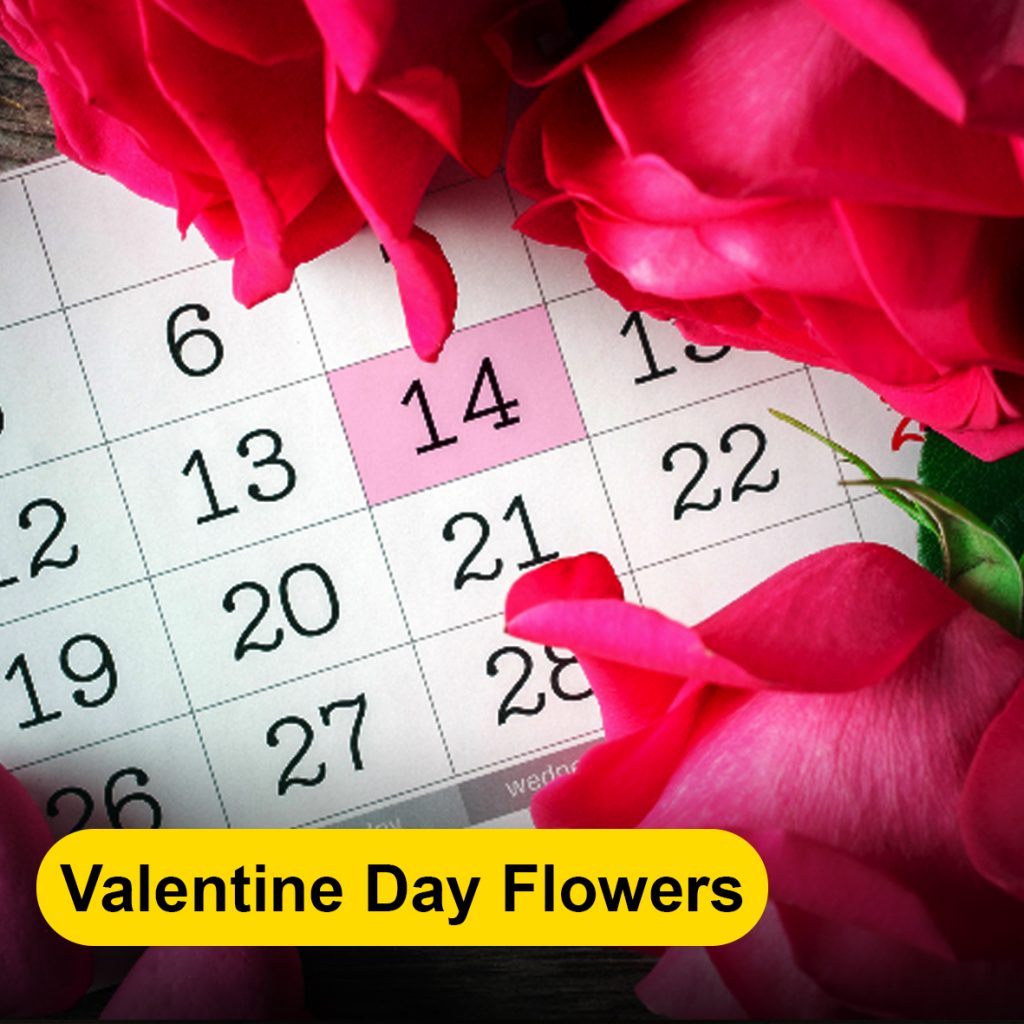 valentine-day-flowers